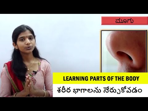 శరీర భాగాలను నేర్చుకోవడం | Learning Parts of the body | Educational Video for Preschoolers