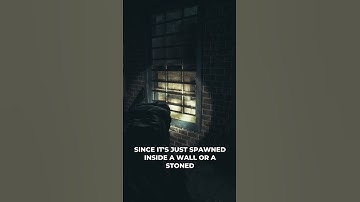 Have You Experience This Bug Before ? - State of Decay 2