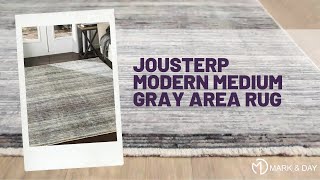 Jousterp Modern Medium Gray Area Rug