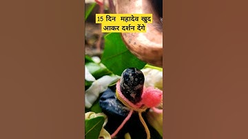 15दिन के अंदर महादेव खुद दर्शन  देंगे#pardeepmishra#mahadev#shivmahapuran#katha#shiv#shorts#bhakti