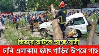 হঠাৎ চলন্ত গাড়ির উপর ভেঙে পড়ল বিশাল বড় গাছ।~ গাড়ির ভিতরে আ*টকে বাঁ*চার আকুতি যাত্রীরা