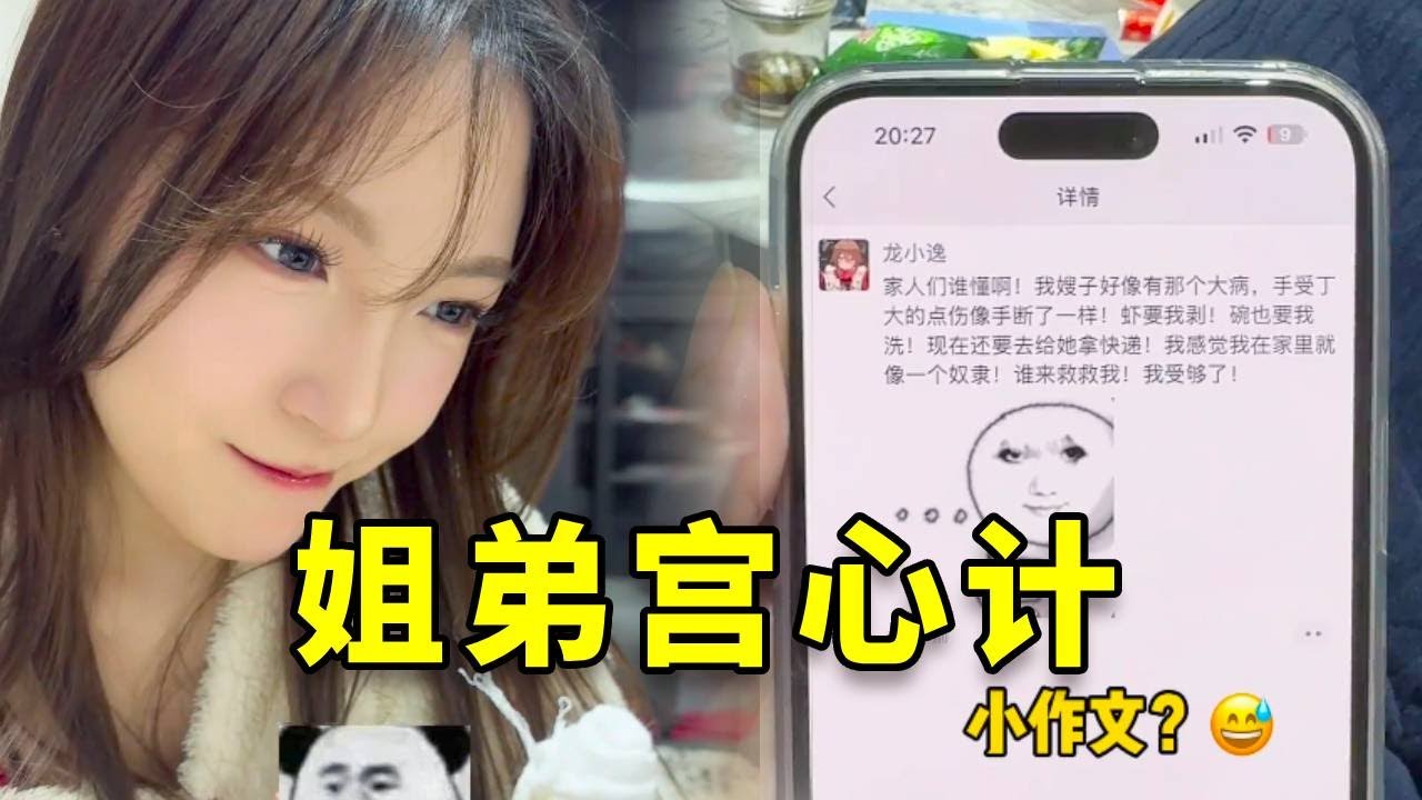反骨弟弟发朋友圈千字长文控诉矫情姐姐！结果姐姐转账20块，他立马变脸！ 
