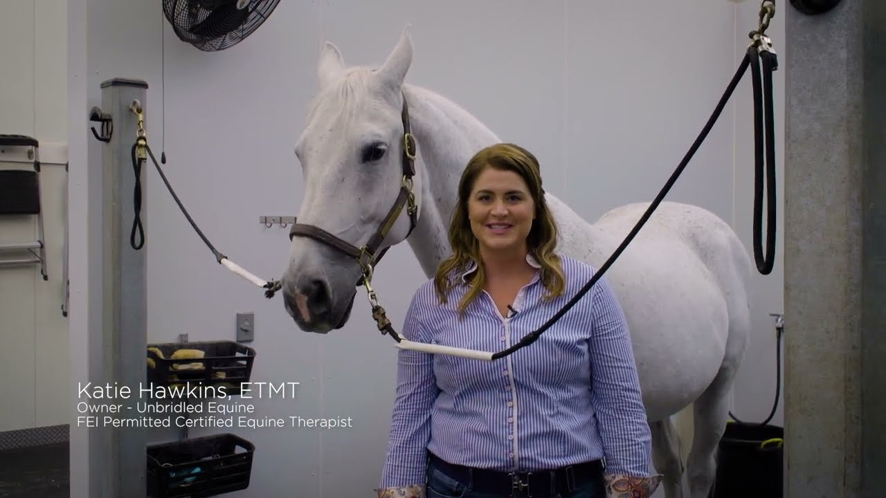 How to Massage Your Horse's Neck