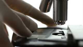 TEDxUTSC 2015: Rene Harrison
