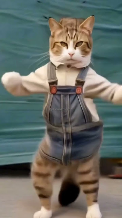 Dj aku butuh kasih sayang tatitutitut #music #cover #remix #dj #liriklagu