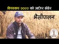 मुर्रा भैसी पहाडमा भारतबाट कसरी ल्याईन्छ ? सम्पुर्ण जानकारी  Buffalo Farming in Nepal, Bhaisi Palan