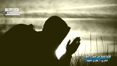 تلاوة جميله سورة البقره ، الشيخ طارق محمد