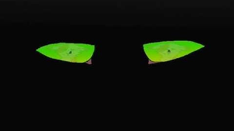 Hollyleaf MAP part 12