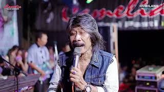 Download Lagu CAMELIA MUSIC - TERBAYANG BAYANG - MR LUKITO - WEDDING AYUK \u0026 ASKABUL - GUYANGAN BANGSRI JEPARA MP3