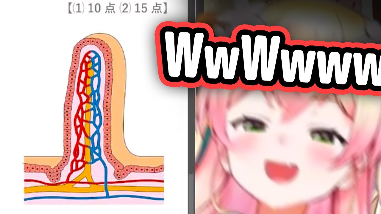 Nene Sees PP-like Image And Loses It【Hololive】