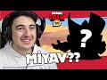 MİYAV? BRAWL TALK GELİYOR!