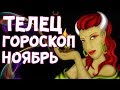 ТЕЛЕЦ. Гороскоп на ноябрь