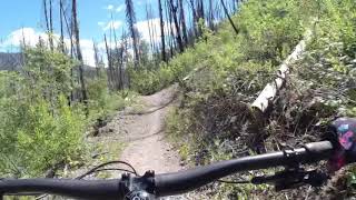 Forbidden Fruit MTB trail at Adams Gulch in Sun Valley Idaho