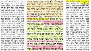 דף יומי מסכת נידה דף לט Daf yomi Niddah dF 39