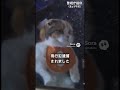 弊社の #AI社員猫ハチオ が逮捕されました。誠に申し訳ありません