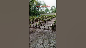 روائع التلاوات القرآن الكريم #المصحف #المصحف_المرتل #عبدالباسط_عبدالصمد #القرآن_الكريم