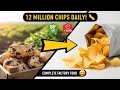 How Potato Chips Are Made: 12 MILLION Chips Daily! | Complete Factory Tour (Farm to Bag)