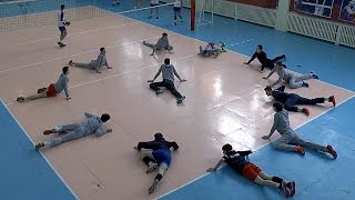 The volleyball training. Warm-up without balls