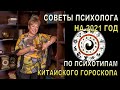 Советы психолога Натальи Кучеренко на 2021 год по  психотипам китайского гороскопа