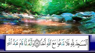 الربع     229/الشيخ محمد جبريل /سورة الجن واول سورة المزمل