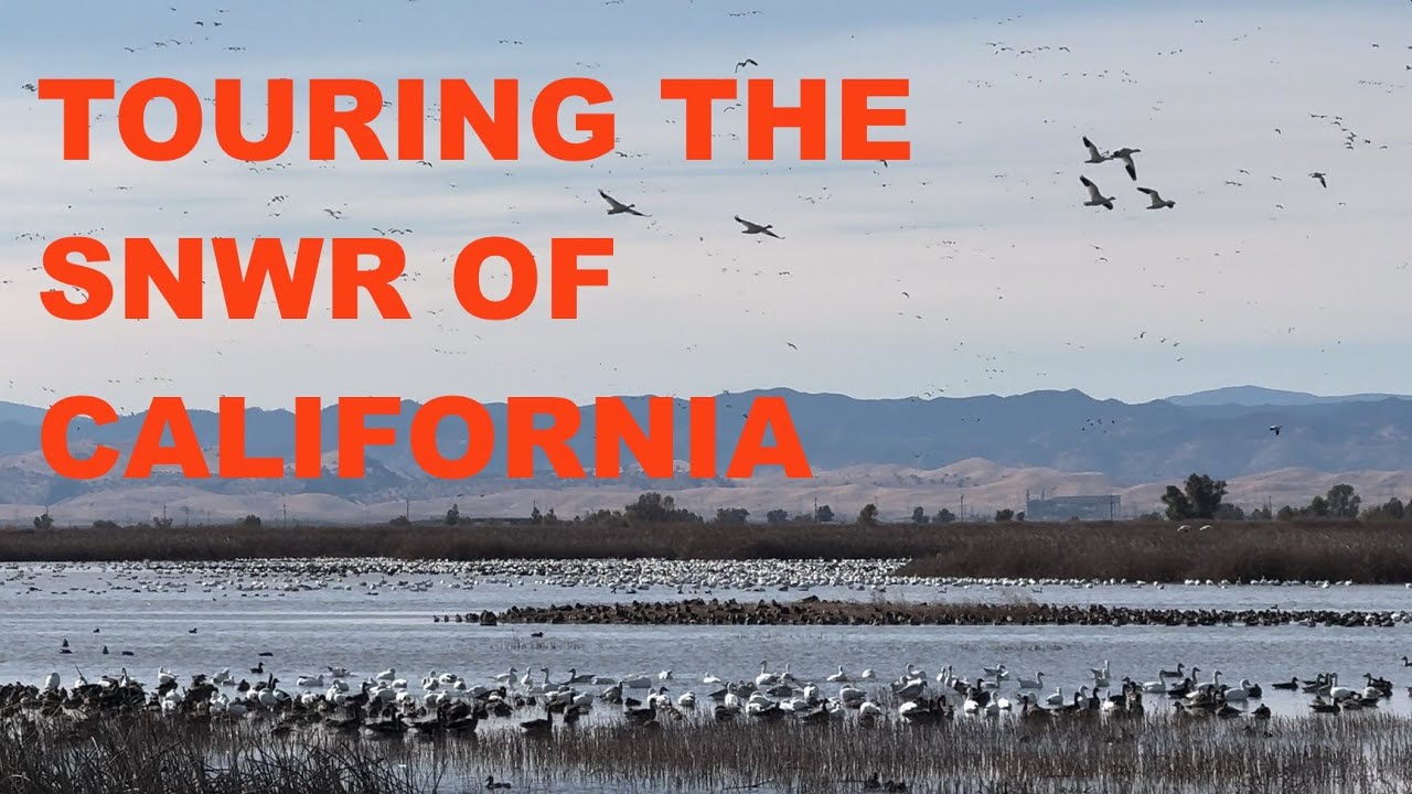 TOURING THE SACRAMENTO NATIONAL WILDLIFE REFUGE IN NORTHERN CALIFORNIA!