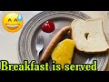 Gave My Boyfriend A Weird Breakfast To See How He Reacts 😨 **Must Watch**