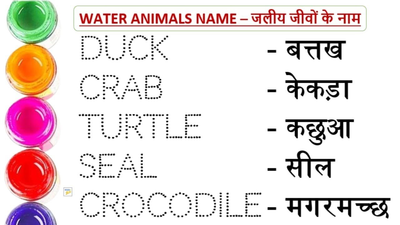 जलीय जीवों के नाम || water animals name in english and hindi || water animals name