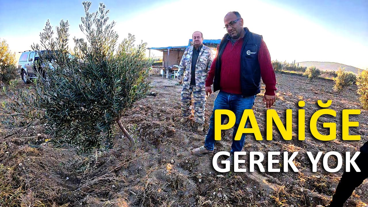 Великолепное развитие сада, который мы ошибочно приняли