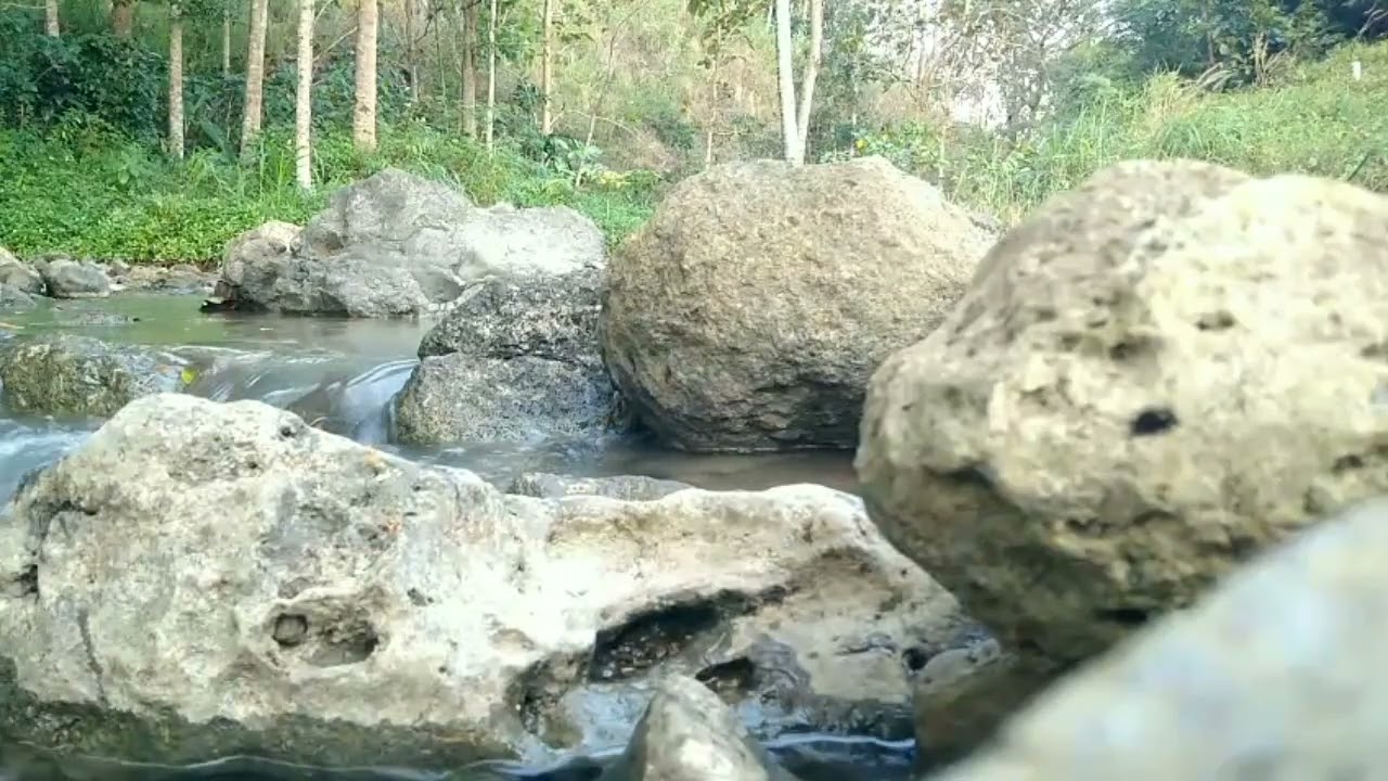 Relaxing with the harmony of Indonesian nature 