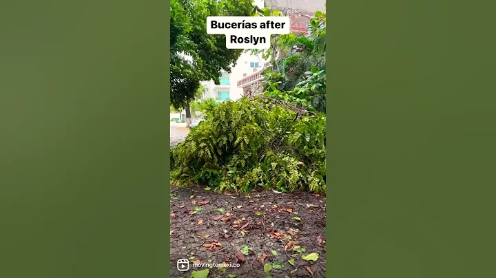 Hurricane Roslyn in Buceras, Nayarit, Mexico