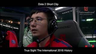 Ceeeb Call Of This Life Time  | Dota 2 True Sight : The International 2018 Finals