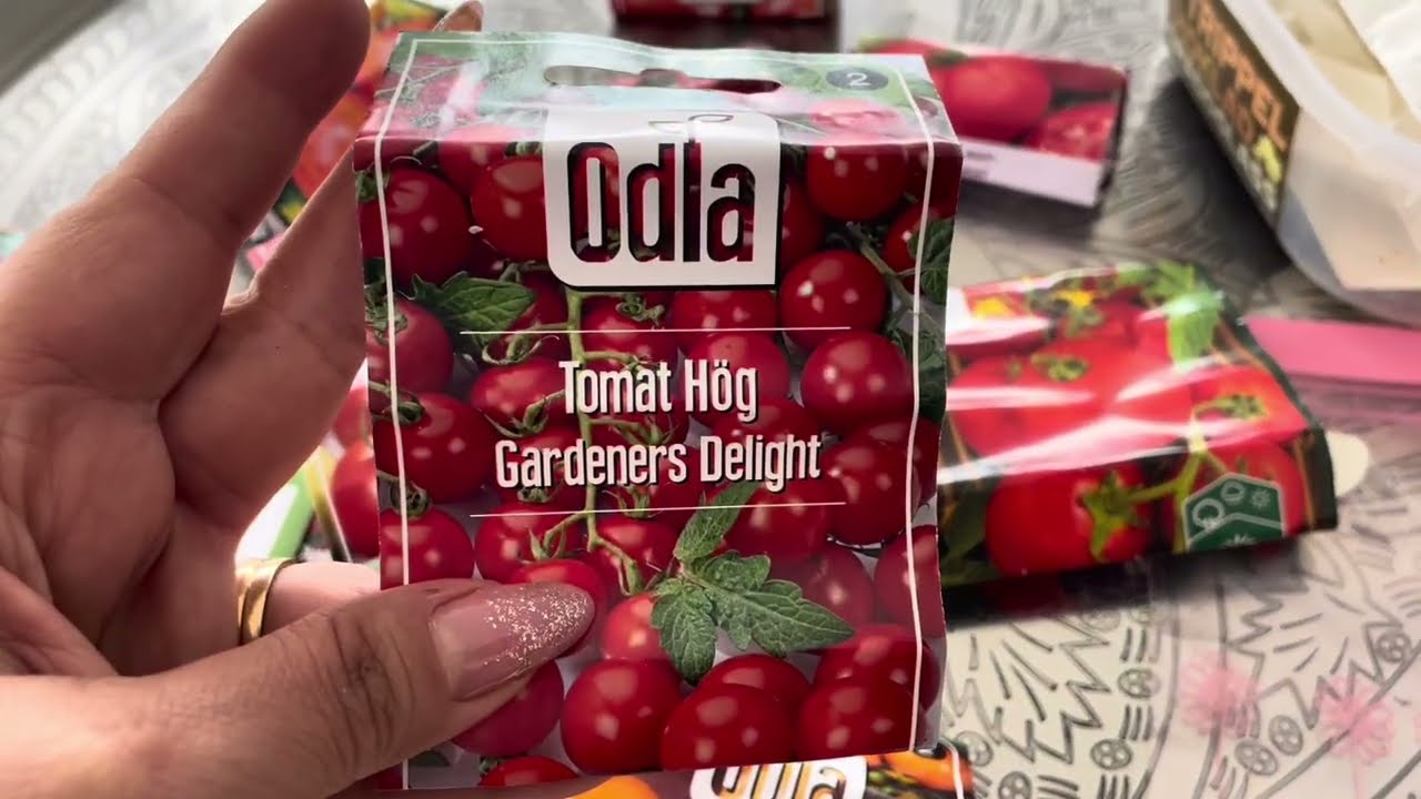 حان وقت زراعة الطماطة في السنادين 🍅🌿