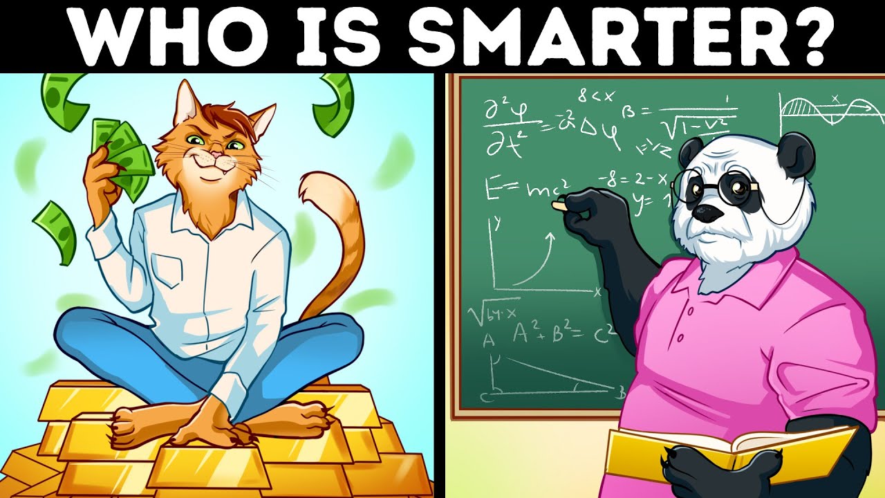 What If All Animals Were As Smart As Humans - YouTube