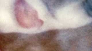 Art on Paper screenshot 5