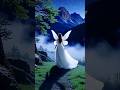 Mountain Fairies | Sach Ya Mystery ? 🤔😨 #shorts #facts