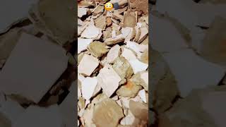 İskenderun’da Moloz Terörüne Sert Müdahale 👀👷🗣😳