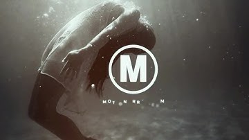 Quick Dynamic Intro After Effects Templates