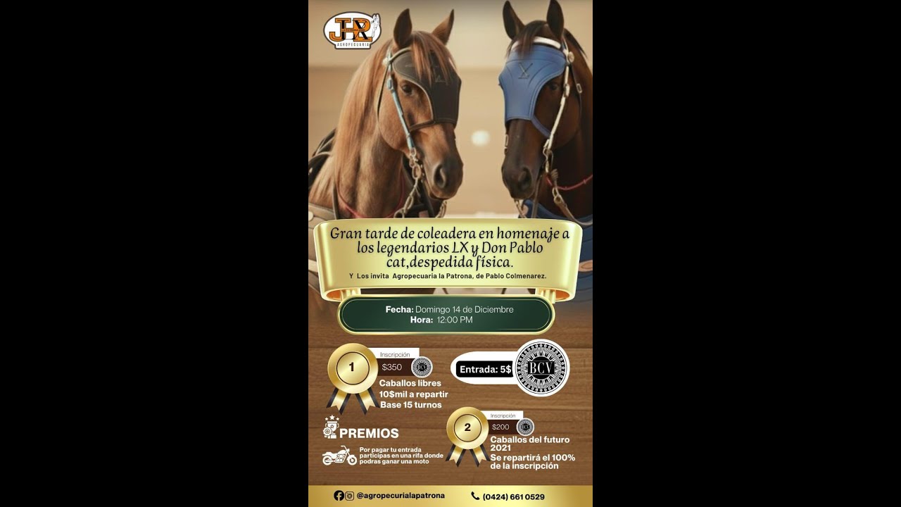 GRAN TARDE DE TOROS COLEADOS EN HOMENAJE A LOS LEGENDARIOS LX Y DON PABLO CAT