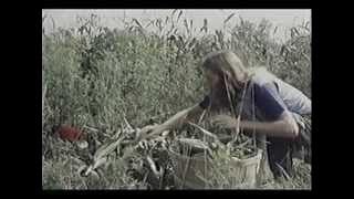 American Commune Trailer