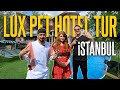 Lüks Pet Otel Turu | Zekeriyaköy | Pet Village Hotel | Vlog 35