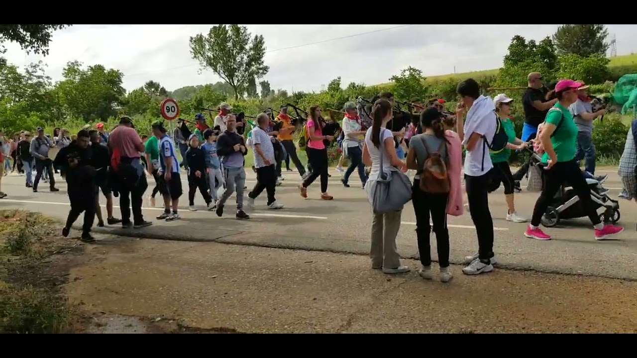 Romería de la Hiniesta Zamora 2023