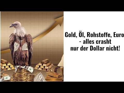 Gold, Öl, Rohstoffe, Euro - alles crasht, nur der Dollar nicht! Videoausblick