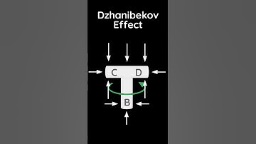 How Would Cartesian Physics explain the Dzhanibekov Effect? 🔧 #spatial