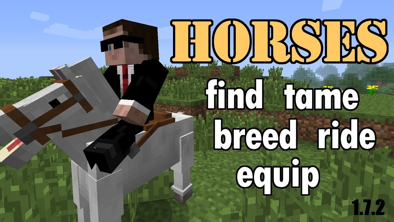 How to tame and breed horses in Minecraft (Any Version) - YouTube