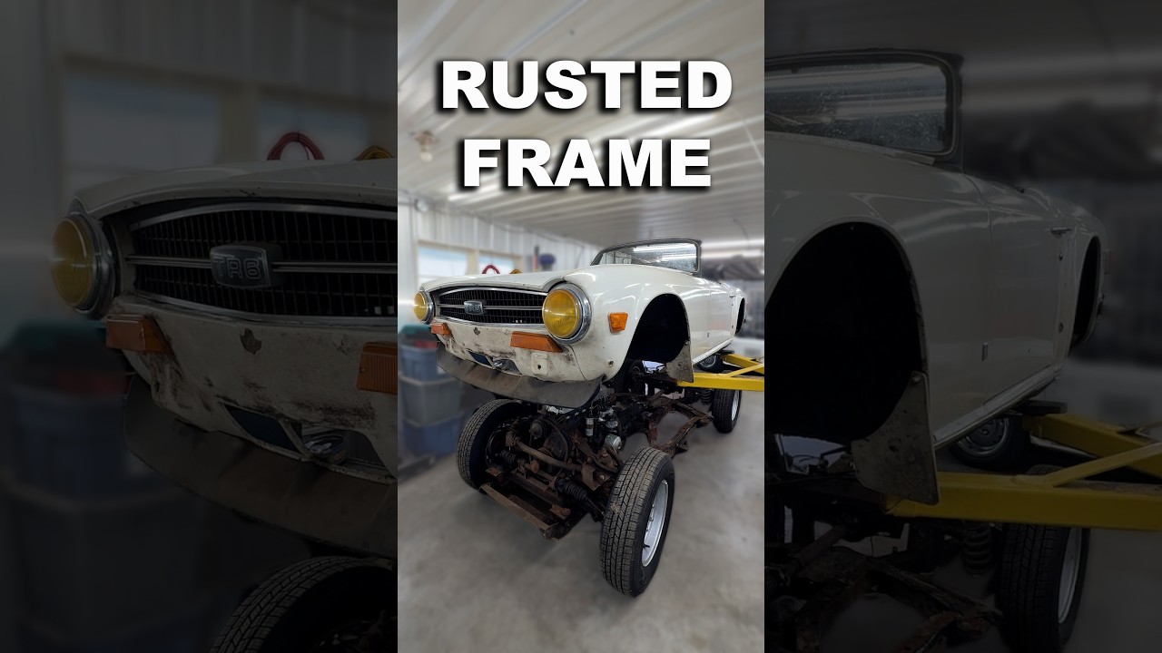 TR6 rotten frame