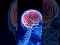 Glioblastoma Treatment | Full Guide: New and Standard Treatment