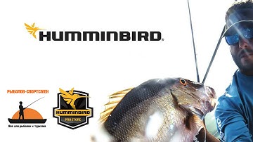 Humminbird ONIX