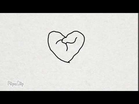 Omega Flowey Animation