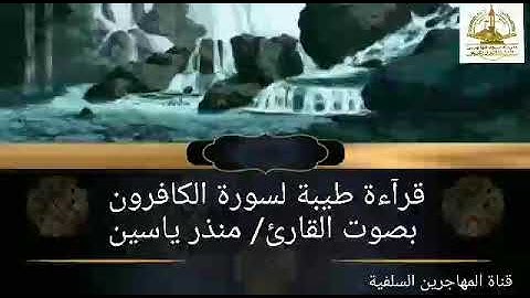 قرآءة طيبة لسورة الكافرون بصوت القارئ/ أبي ياسين منذر ياسين.