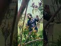 #anni #agarmaibatadoo #lovesong